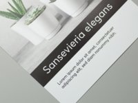 Paper flyer with one-sided varnish.