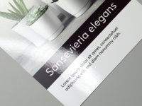 Glossy flyer on coated paper, printed on one side.