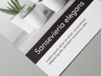 Paper flyer with matte cellophane lamination on one side.