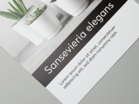 Square flyer on coated paper.