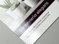 Paper flyer with glossy UV varnish on one side.