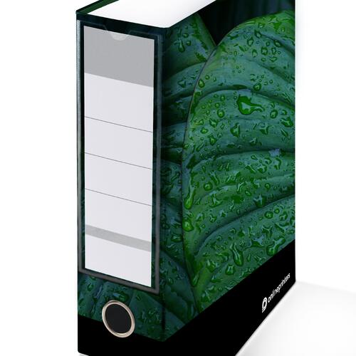 Printed file folder with ring mechanism and spine label.