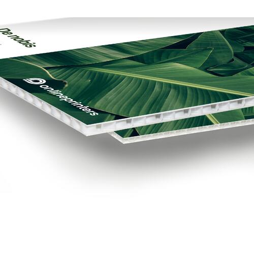 White corrugated plastic sheet, lightweight and sturdy.