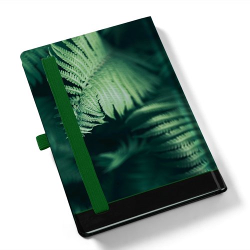 Premium notebooks, A4 2