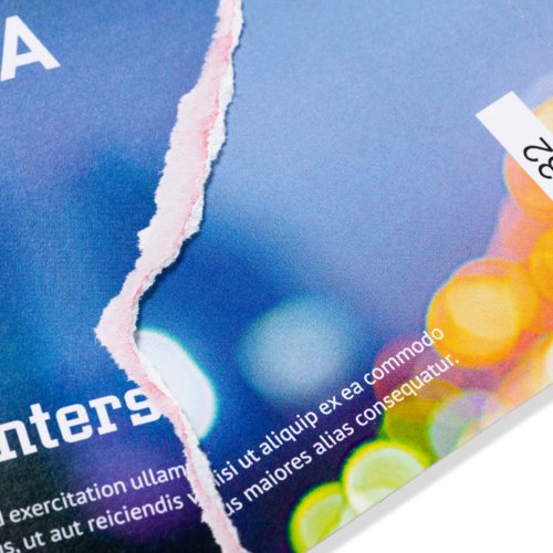 Entry Tickets (security paper), A4 Half 2