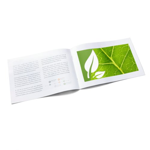 Natural paper brochure with multiple pages and saddle stitch binding.