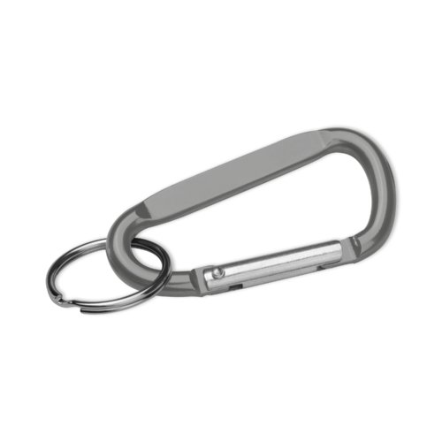 Gray metal keychain with carabiner closure.