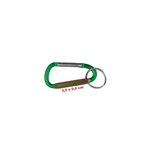 Green metal keychain with carabiner closure.
