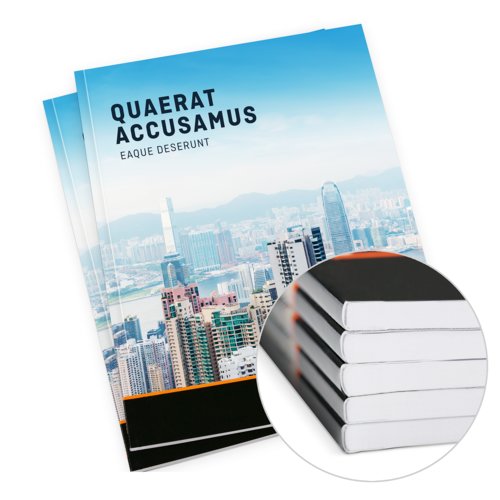 Paper brochure with adhesive binding.