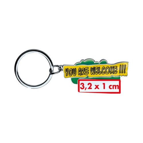 Metal keychain with metal ring.