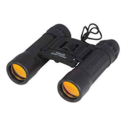Black binoculars with central focus wheel and carrying strap.