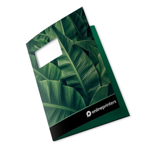 Paper folder with flaps and viewing window.