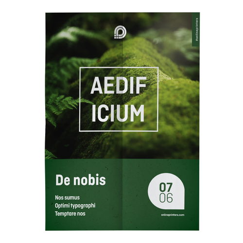 Biežāk izmantotie plakātu formāti