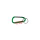 Green metal keychain with carabiner closure.