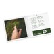 Paper folding cards with partial raised varnish.