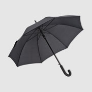 Everett automatic umbrella