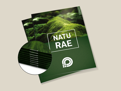 Brochures Eco/natural paper