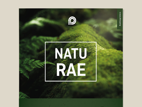 Posters Eco/natural paper