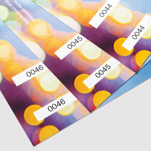 Event Tickets (black-light ink), DL 1