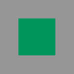 A solid green square is centered on a gray background.