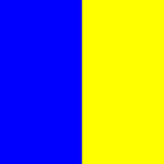 A rectangle vertically divided into two equal halves: the left side is solid blue, and the right side is solid yellow.